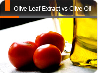 Olive Leaf Extract vs Olive Oil